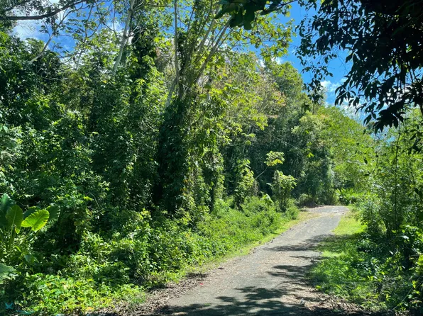 State Highway 105 Juan Alonso Mayaguez Km #3.1, Mayaguez, PR 00682