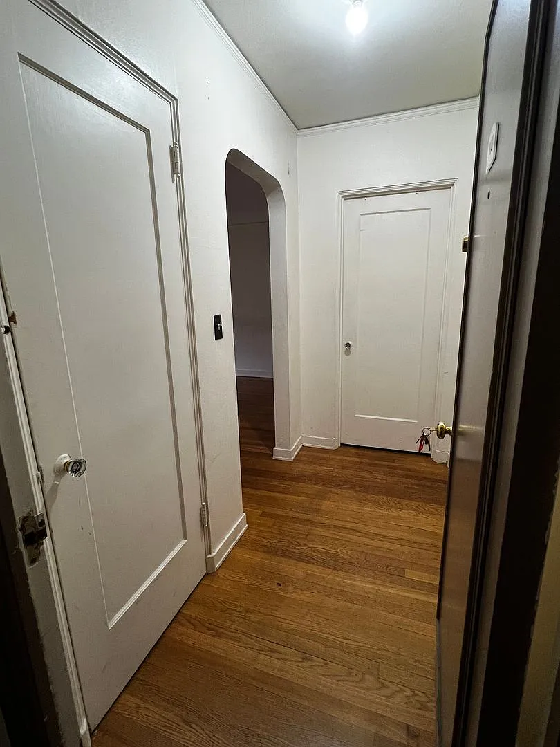 Conrad — Photo 3