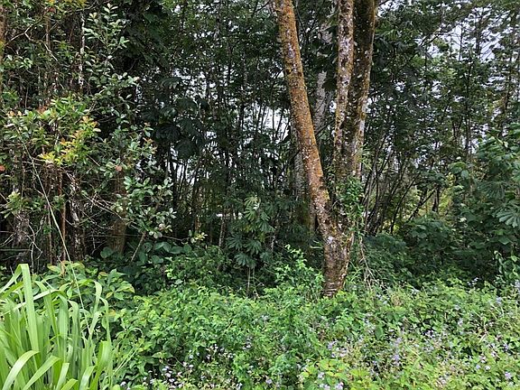 3rd image of Uilani Dr Lot 4