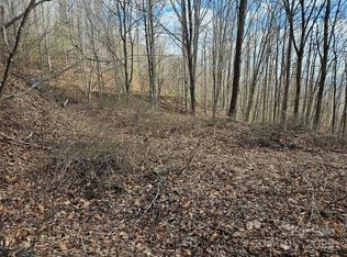 0 Wolverine Ct #45, Waynesville, NC 28785