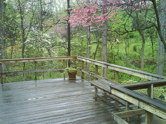 Back deck - spring