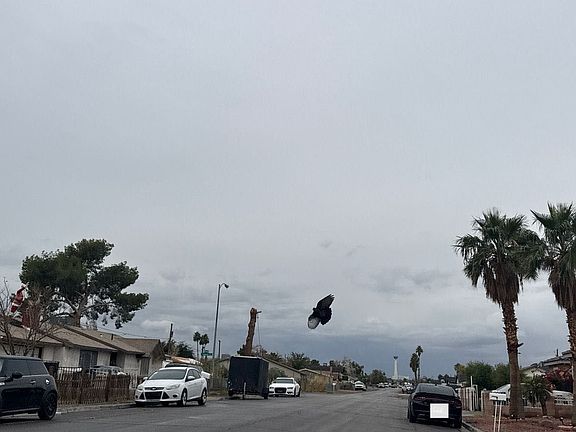 5th image of 4825 Patterson Ave