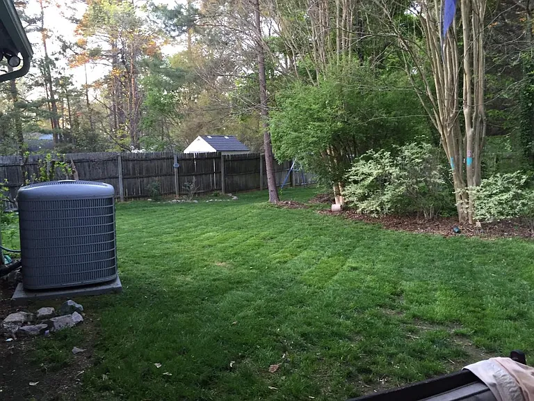 Backyard 1 (Left side)