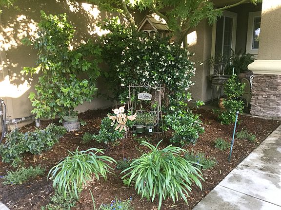 Front landscaping 