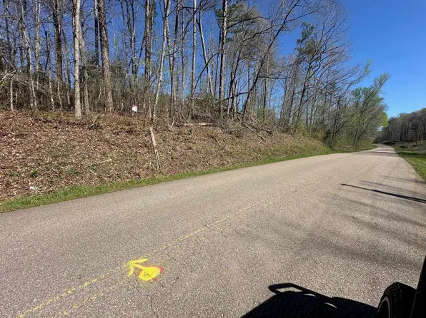 4 Bruton Branch Rd, Savannah, TN 38372