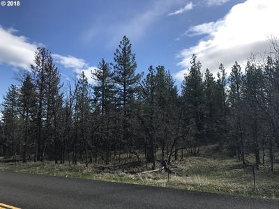 Wahkiacus Heights Rd, Wahkiacus, WA, 98670