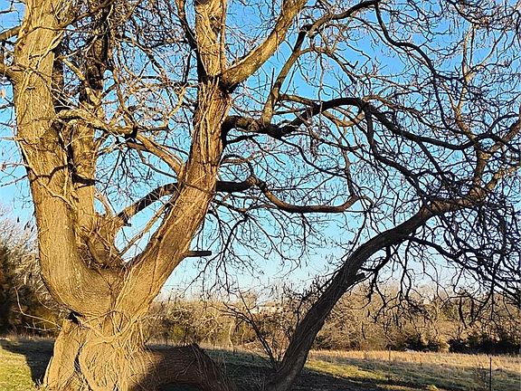 2nd image of 12315 Stave Mill Rd