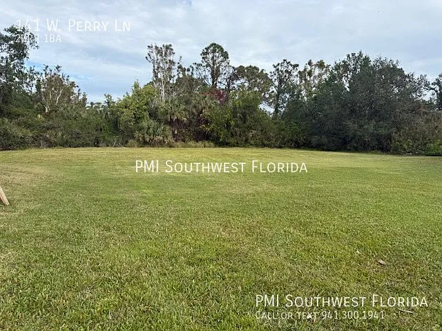 141 W Perry Ln — Photo 9