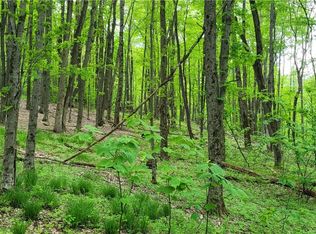 2967 Burdick Rd, Bolivar, NY 14715