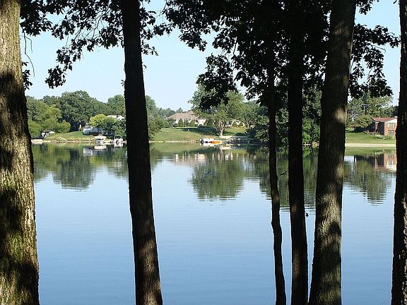 Lake view through the shade trees