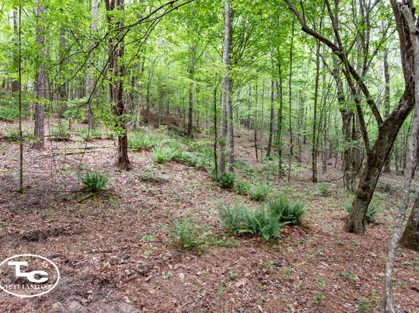 0 Martin Luther King Hwy, Eutaw, AL 35462