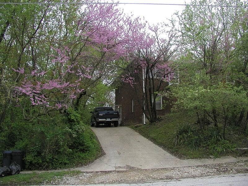 Basement walk out apartment Pitbull friendly!
