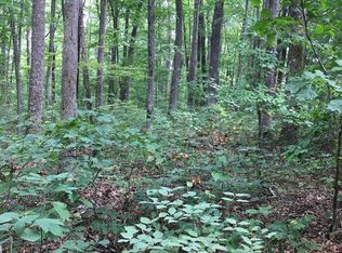LOT 384 E Obey Ln, Wilder, TN 38589