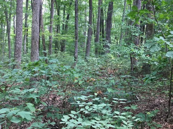 LOT 384 E Obey Ln, Wilder, TN 38589