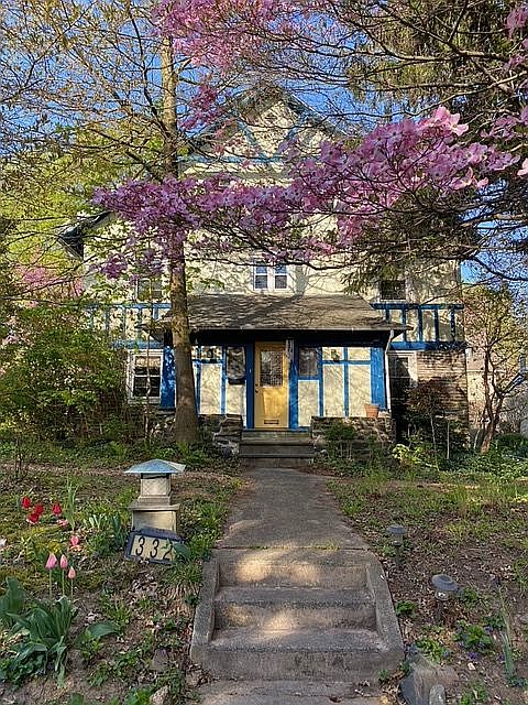 blossoms and color all year