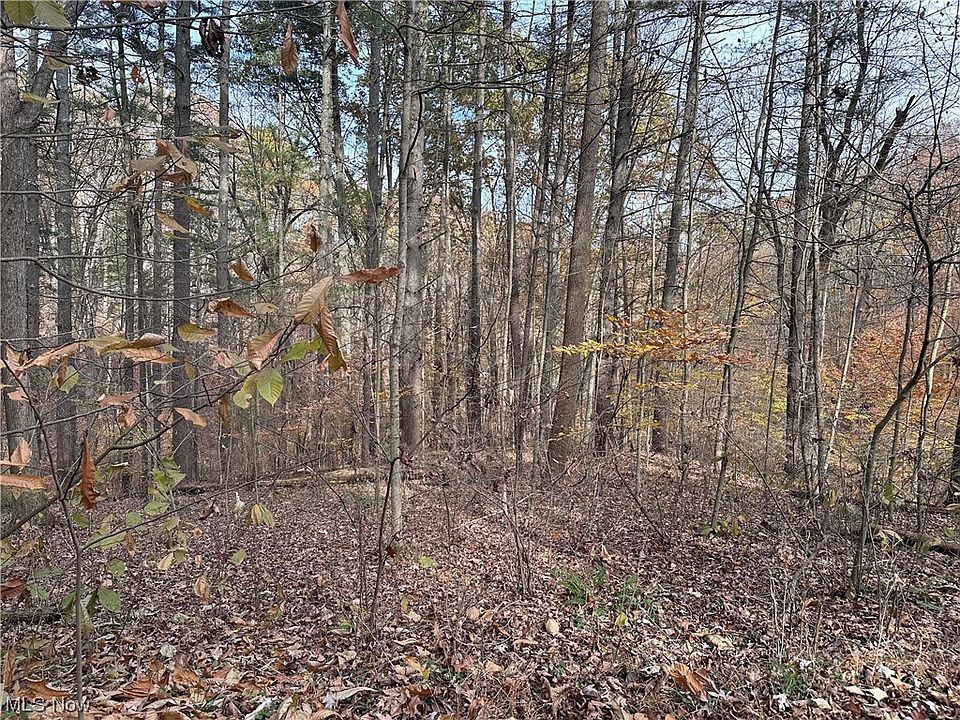 1st image of Morningside Dr