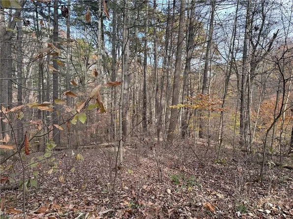 Morningside Dr, Glouster, OH 45732