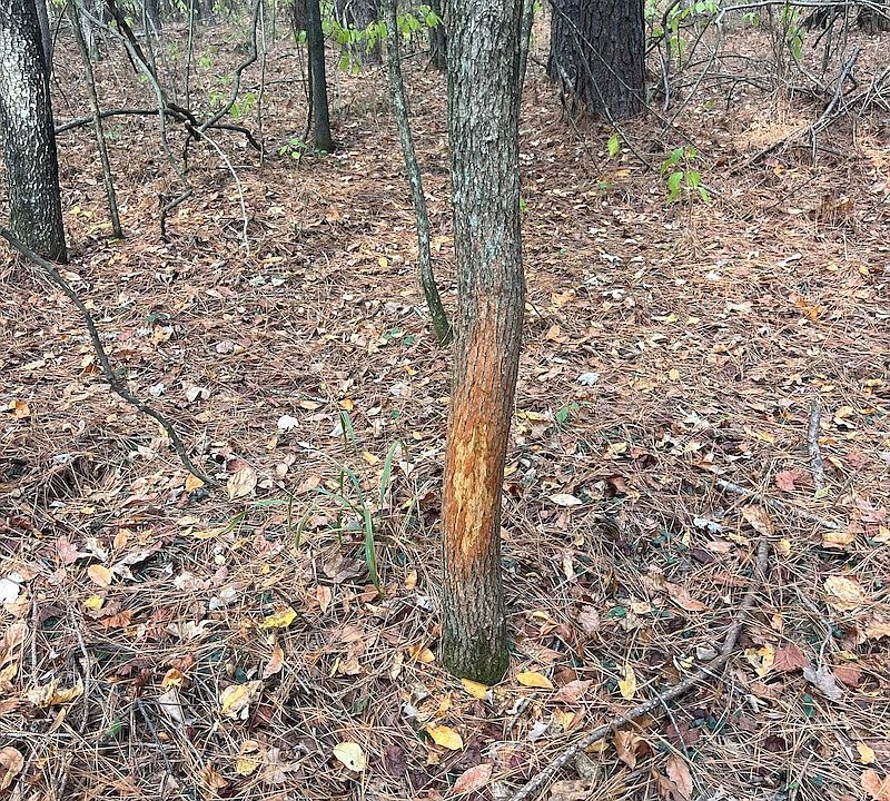 0 Interstate Highway 30 Lot Wp003-71941, Donaldson, AR 71941 | MLS