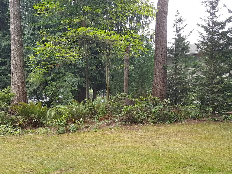 38208 244th Ave SE — Photo 12
