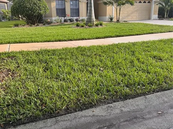 9512 Serra Ct, Howey In The Hills, FL 34737