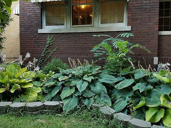 3rd image of 1223 N Douglas St