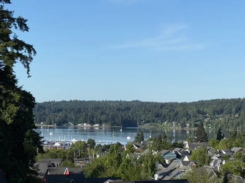 Living Room View