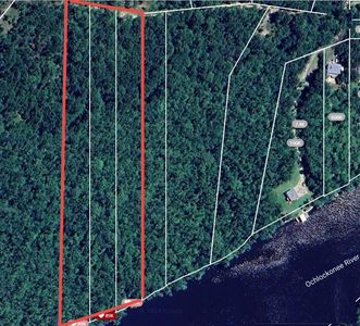 Xxx Pamela Pl, Sopchoppy, FL, 32358