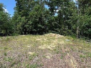 51 Terrace View Ct, Acworth, GA 30101