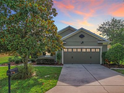 20816 Oldenburg Loop, Mount Dora, FL, 32757