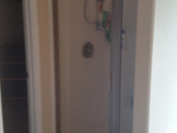 Master Shower