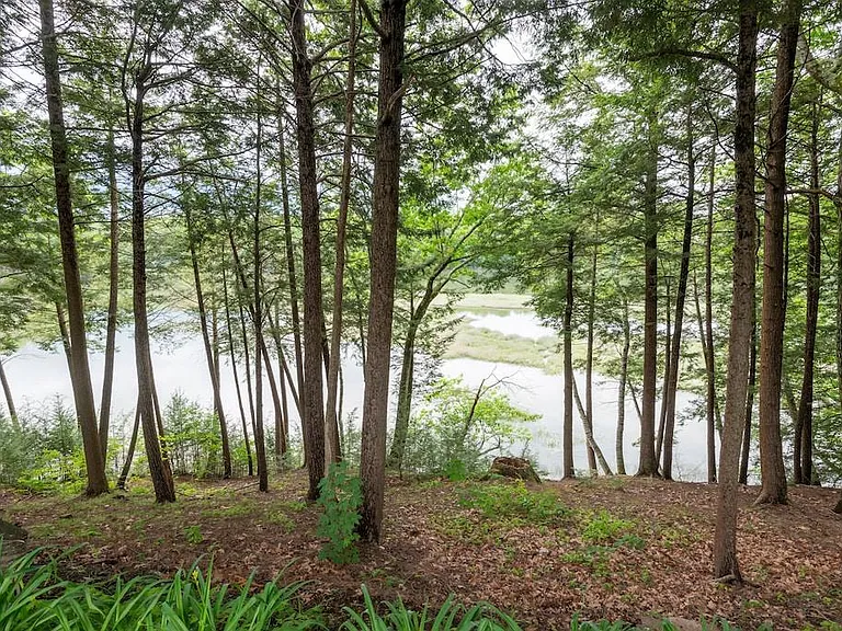 View from backyard