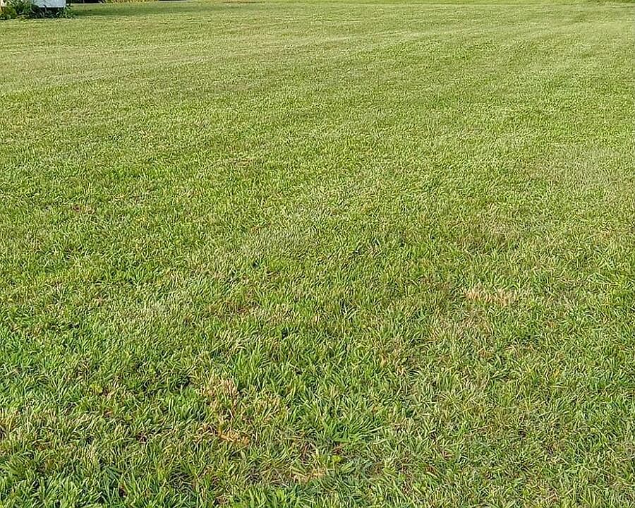 2nd image of 593 Mays Rd