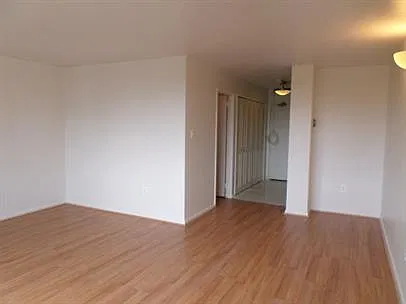 Studio, 452 sqft, $1,600 — Photo 4