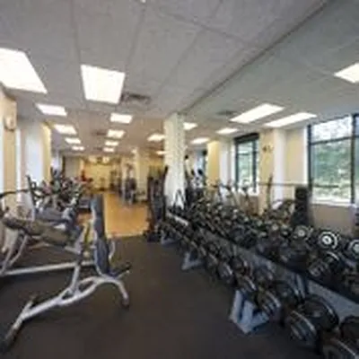 Rented by The Monterey | media 3