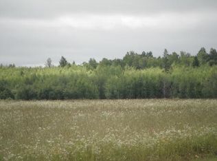 N4881 Estonian Church Rd, Gleason, WI 54435