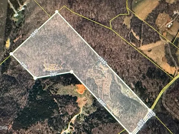 1375 Smith Hollow Rd, Blaine, TN 37709