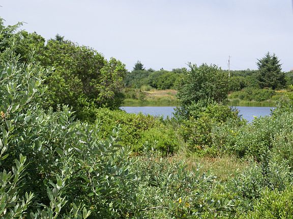 View of Perkins Pond from Dining, Kitchen and Master bedroom