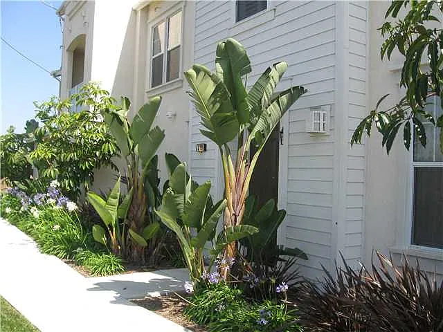 Harbor Cliff Way #309 - 309 — Photo 3