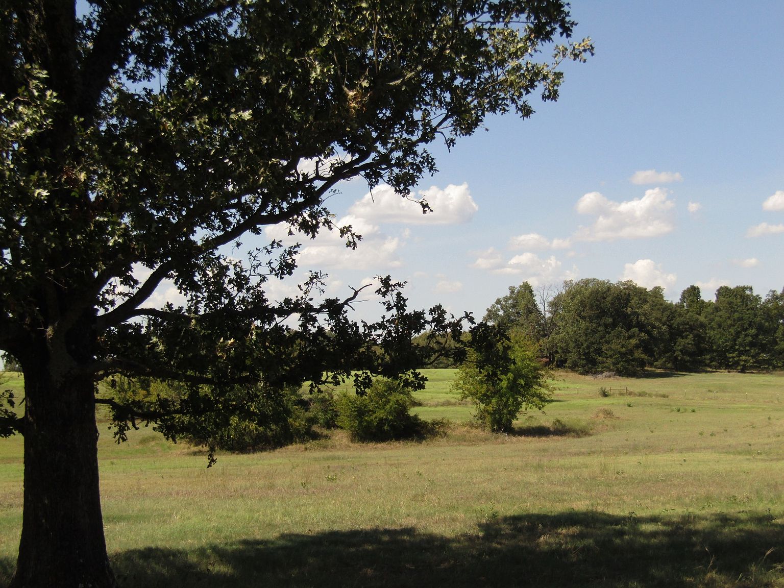 E 2090 Road Rolling Hill Ranches Phase 2, Hugo, OK 74743 MLS