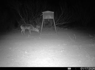 Tracts 156 157 158 159 160 161 #162-163, Freer, TX 78357