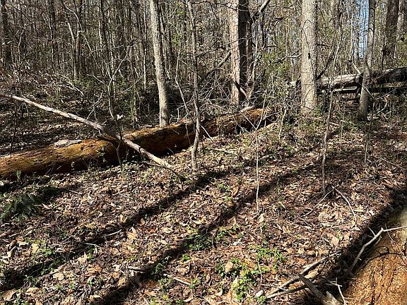 3rd image of 0 Poplar Mountain Ln