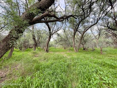 0 W Lightning Ln, Benson, AZ, 85602