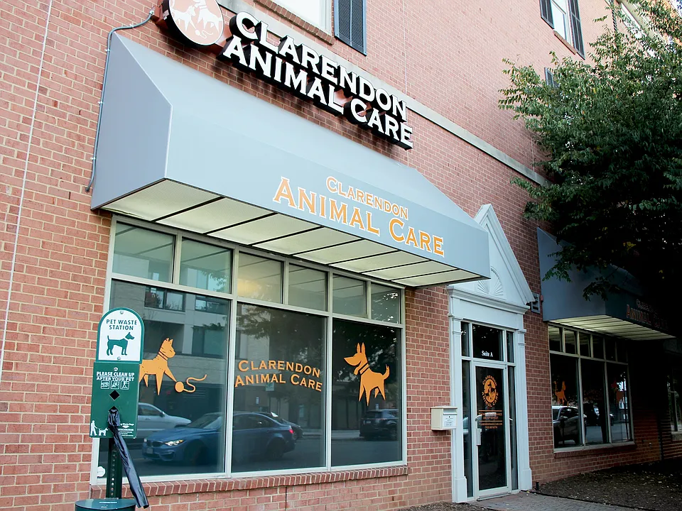 Ten at Clarendon