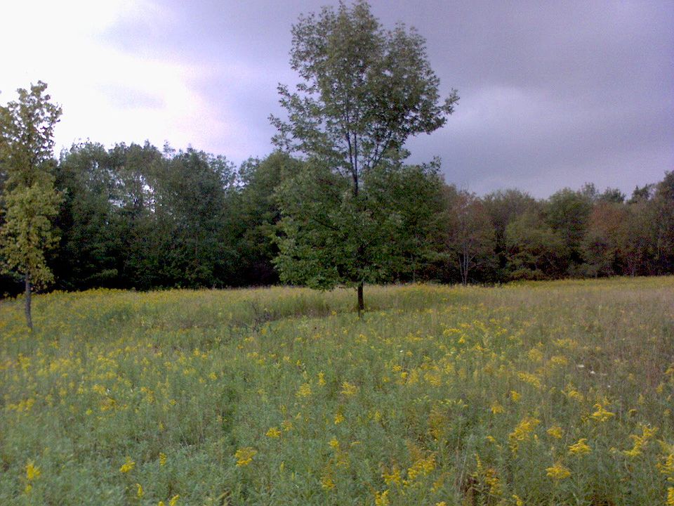 Tillable Land view