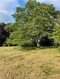 4th image of 349 Old Fall River Rd