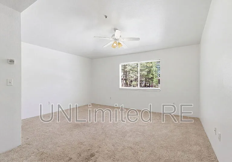 1185 W University Ave #235 — Photo 13