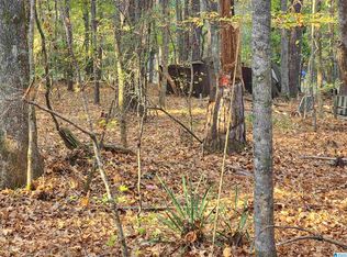 0 Beaver Cove Rd #3, Equality, AL 36026