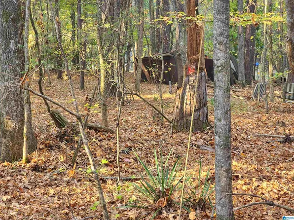 0 Beaver Cove Rd #3, Equality, AL 36026
