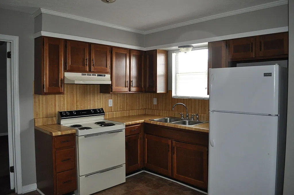 1 bed, 800 sqft, $695 — Photo 4