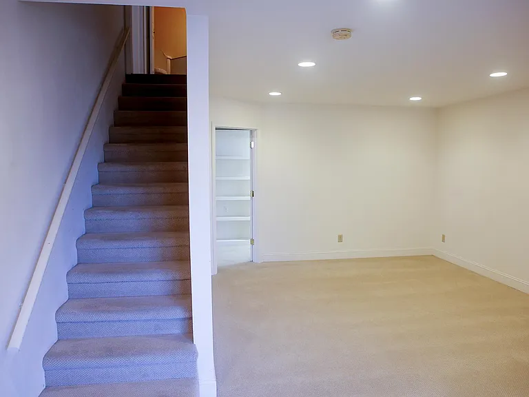 Basement Den